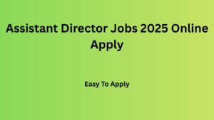 Assistant Director Jobs